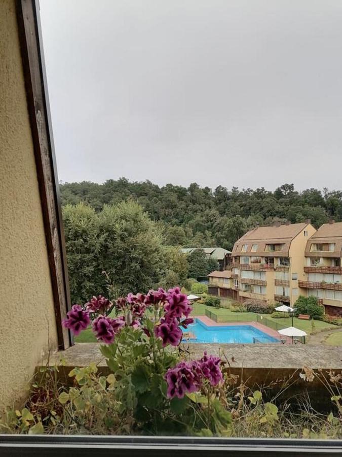 Departamento En El Centro De Pucon, Hermosa Vista Al !! Pucón