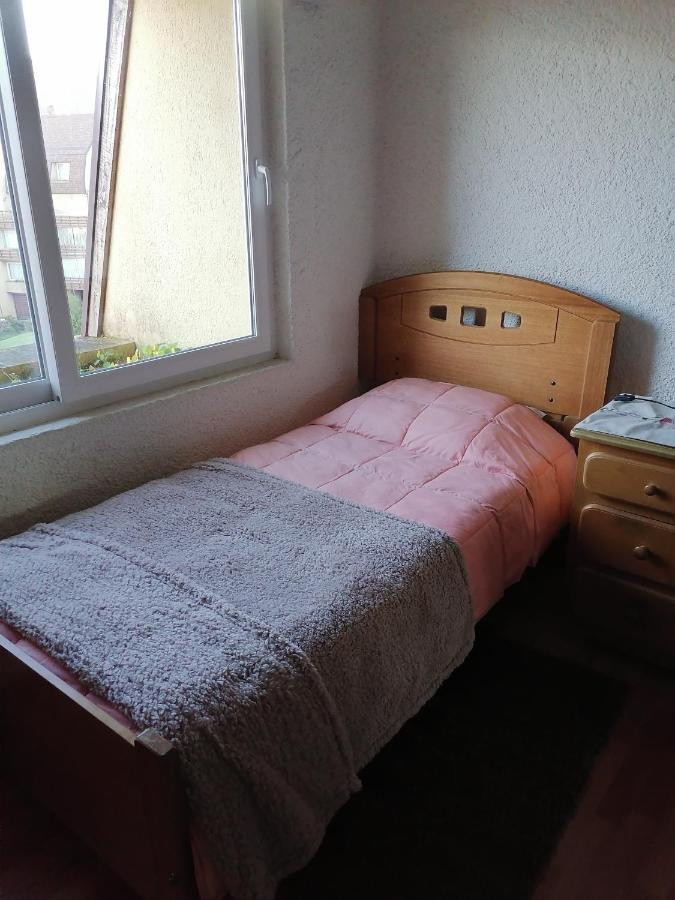 Departamento En El Centro De Pucon, Hermosa Vista Al !! Apartamento Pucón